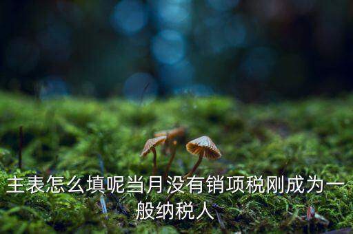 一般納稅人主表是什么意思，一般納稅人申報表主表的申明人必須輸入是什么意思