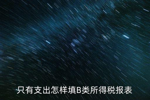 個(gè)人生產(chǎn)經(jīng)營所得B表稅金填什么，只有支出怎樣填B類所得稅報(bào)表