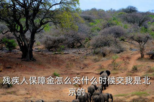 殘疾人保障金要求什么時候交，殘疾人保障金怎么交什么時候交我是北京的