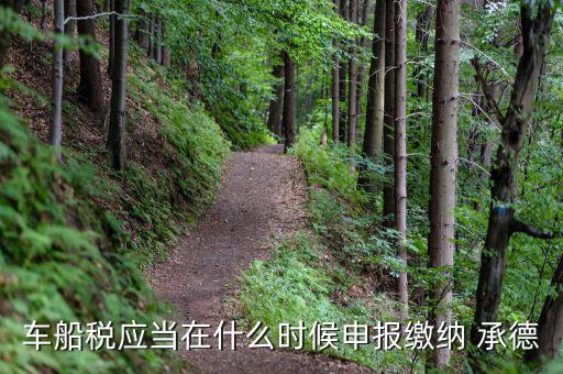 車船稅應(yīng)當在什么時候申報繳納 承德