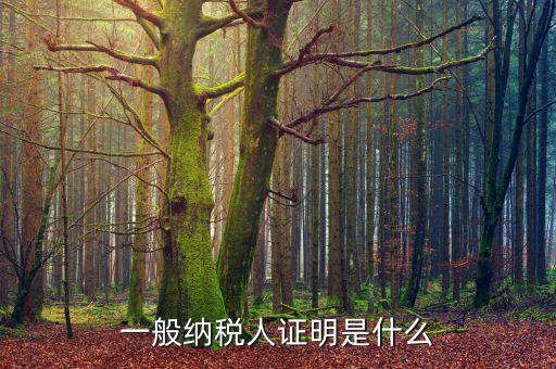 什么可以證明是一般納稅人，什么叫一般納稅人我如何辨別自己公司是否是一般納稅人