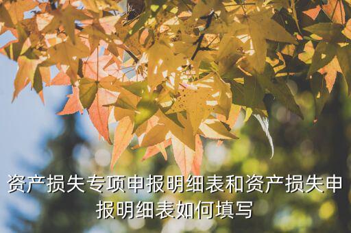 什么是專項資產(chǎn)損失申報表，所得稅申報表怎么填22資產(chǎn)損失