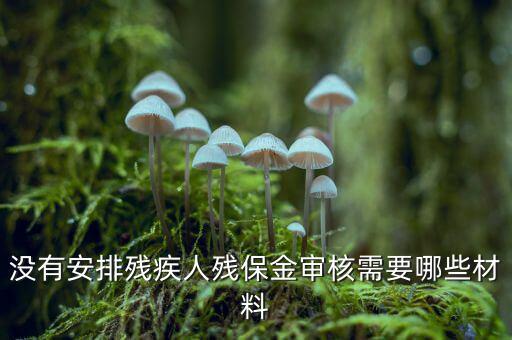 福建殘保金備案需要什么資料，求助2012年殘保金申請(qǐng)流程