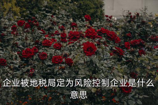 稅收風險控制是什么，稅務(wù)風險管理的稅務(wù)風險管理制度