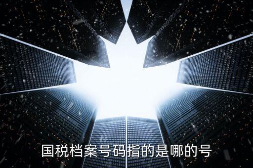 國稅號碼是什么，什么是國稅檔案號