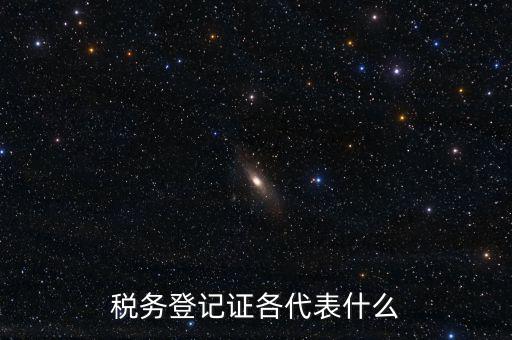 什么稅務登記證，什么是稅務登記證