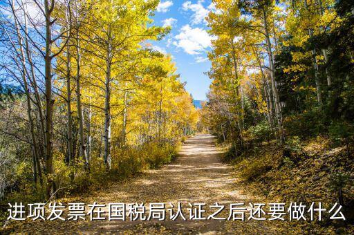 稅務認定之后做什么，新辦企業(yè)稅務登記證下來后接下來會計該做些什么工作