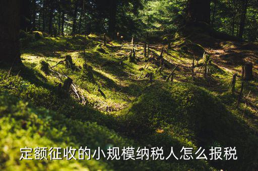 小規(guī)模納稅人 什么定額申報(bào)，定額征收的小規(guī)模納稅人怎么報(bào)稅
