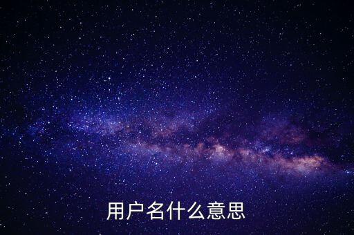 微稅用戶名是什么意思啊，用戶名什么意思