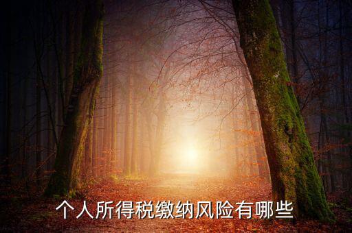 所得稅申報時有什么風險提示，個人所得稅繳納風險有哪些