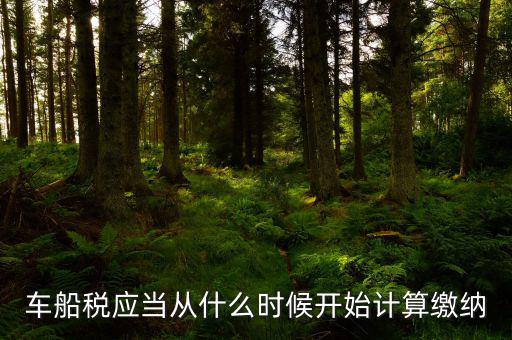 車船什么時間申報，車船稅應(yīng)當(dāng)在什么時候申報繳納 承德