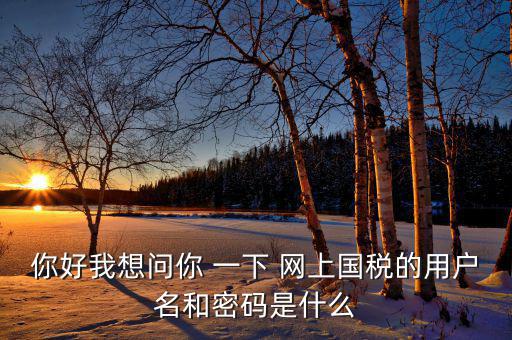 電子稅務(wù)的賬號密碼是什么，你好我想問你 一下 網(wǎng)上國稅的用戶名和密碼是什么