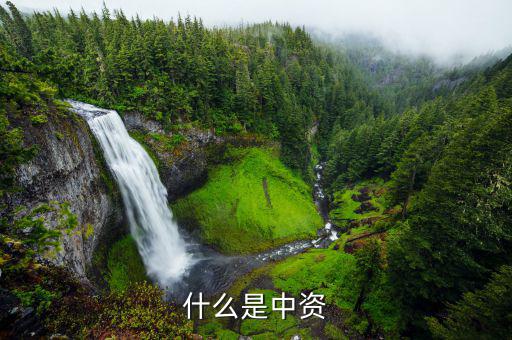 什么是境外中資控股居民，境外注冊中資控股居民企業(yè)和非境內(nèi)注冊居民企業(yè)區(qū)別