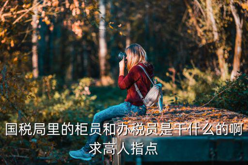國(guó)稅局導(dǎo)稅員干什么的，國(guó)稅局里的柜員和辦稅員是干什么的啊求高人指點(diǎn)