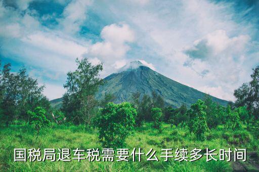 車輛國稅什么時候取消，說今年9月份取消汽車購置稅是嗎