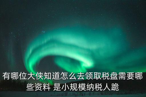 稅盤開通要什么資料，去稅務局辦理稅控盤需要什么資料流程怎么走呢