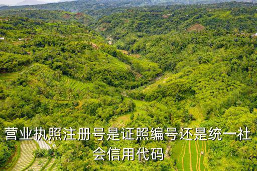 營業(yè)執(zhí)照注冊號是證照編號還是統一社會信用代碼