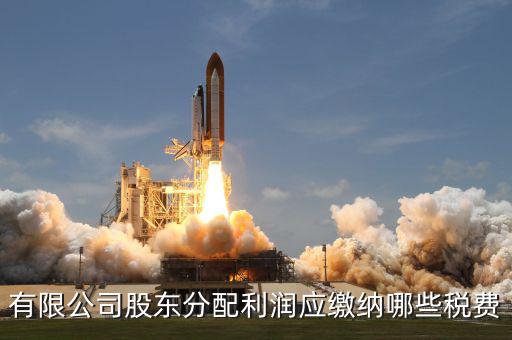 公司股東需要交什么稅，有限公司股東分配利潤(rùn)應(yīng)繳納哪些稅費(fèi)