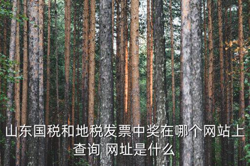 發(fā)票領用什么網(wǎng)站，誰知道發(fā)票兌獎上那個網(wǎng)站
