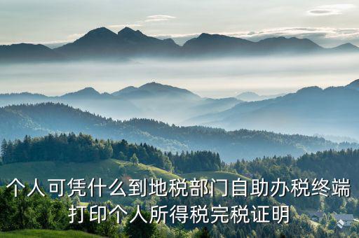 稅務局自助辦稅服務終端是什么，自助辦稅終端 報稅