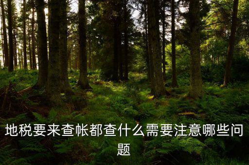 地稅主要查什么，地稅查賬一般都查哪些方面呢