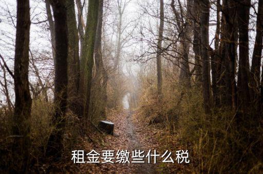 承租者租金交什么稅，租金要繳些什么稅