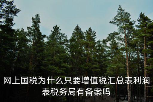 網上國稅為什么只要增值稅匯總表利潤表稅務局有備案嗎