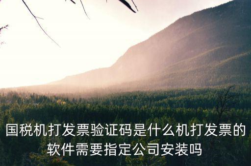 北京國稅電子發(fā)票驗證密碼是什么，國稅局發(fā)票軟件里用戶代碼和密碼是什么