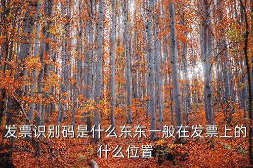 河北發(fā)票識(shí)別碼是什么意思，發(fā)票的識(shí)別碼是不是繳稅單位的稅號(hào)