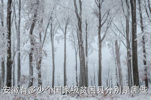 壽縣稅務(wù)局在什么地方，壽縣在什么地方