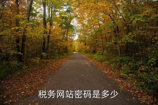 國稅登陸用戶名密碼是什么，電子稅務(wù)局密碼怎么查