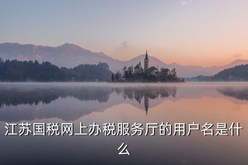 網(wǎng)上辦稅平臺(tái)帳號(hào)是什么，地稅網(wǎng)上申報(bào)用什么帳號(hào)