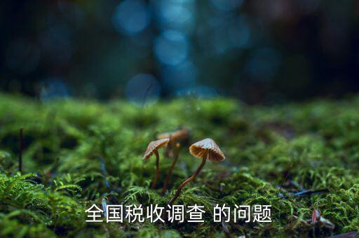 全國稅收調(diào)查是什么呢，全國稅收調(diào)查表說明