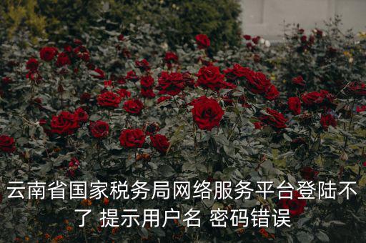 云南稅控服務平臺的網址是什么，云南國稅開票系統(tǒng)網址
