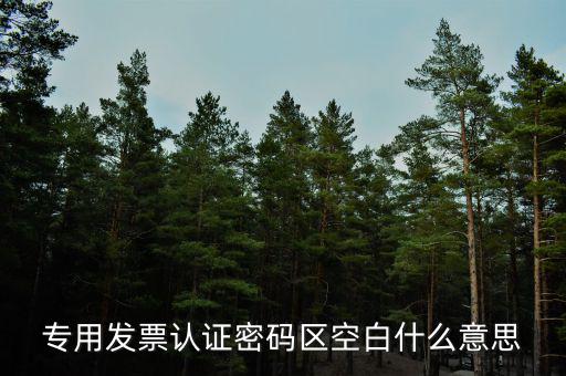 河南發(fā)票密碼是什么意思，專用發(fā)票認(rèn)證密碼區(qū)空白什么意思
