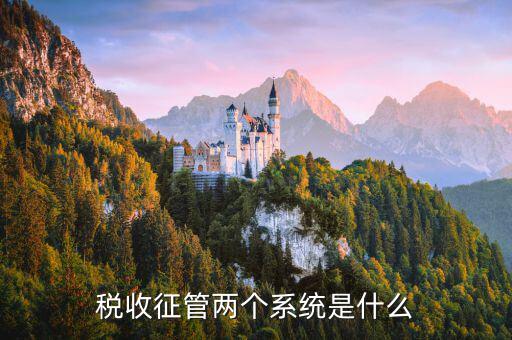 稅務(wù)什么叫核心征管系統(tǒng)，稅收征管兩個系統(tǒng)是什么