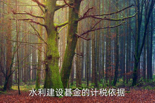 西安水利基金的計稅依據(jù)是什么，水利建設(shè)碁金的計稅依據(jù)