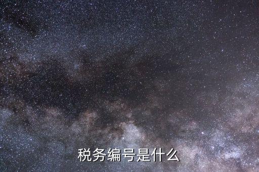 納稅人國稅編碼是什么，納稅編碼是什么