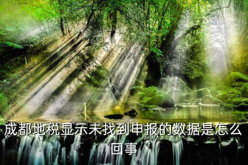 成都為什么地稅申報(bào)不了，成都地稅顯示未找到申報(bào)的數(shù)據(jù)是怎么回事