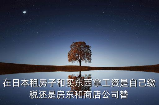 日本租稅法是什么稅，在日本租房子和買東西拿工資是自己繳稅還是房東和商店公司替