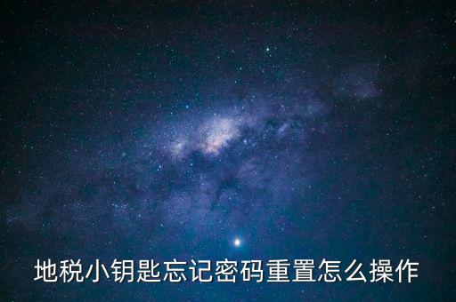 地稅密碼重置需要什么，地稅網(wǎng)上納稅申報(bào)密碼忘記了