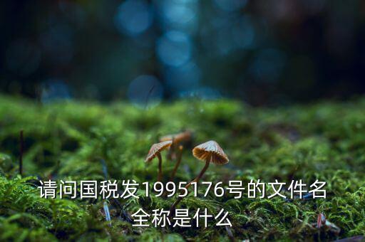 國(guó)稅初始化文件是什么字頭，稅務(wù)申報(bào)材料初始化是什么意思