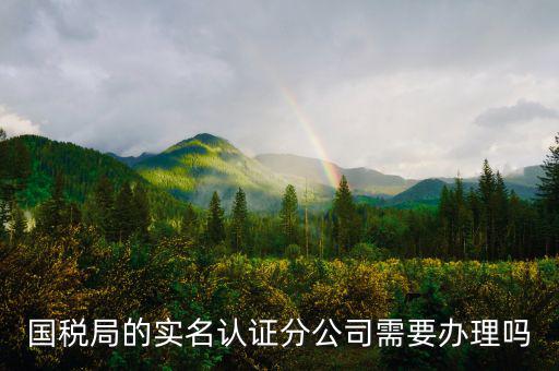 四川國(guó)稅局實(shí)名認(rèn)證需要什么手續(xù)，在國(guó)稅局辦理法人實(shí)名制認(rèn)證要帶什么材料