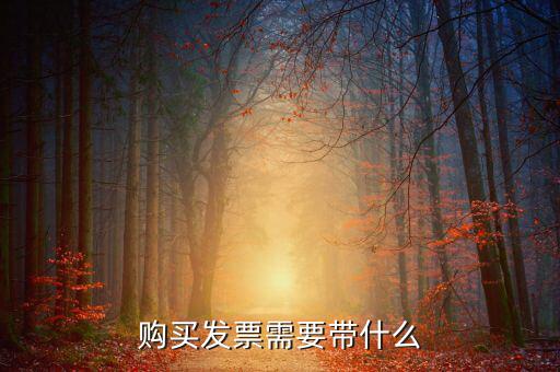 長春購置發(fā)票需要什么資料，初次購買發(fā)票要什么資料