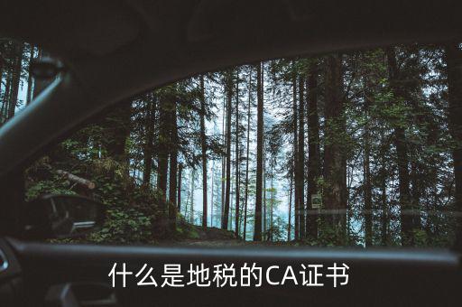 什么叫地稅CA用戶，什么是CA用戶