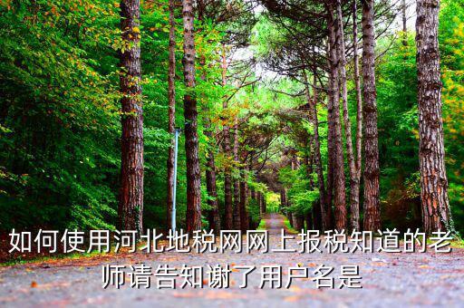 河北省地稅登陸的用戶名是什么意思，在網(wǎng)上報稅登陸時用戶名是什么