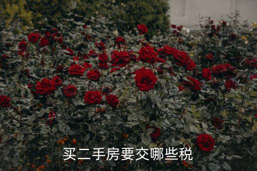買二手公建房交什么稅，買二手房要交哪些稅