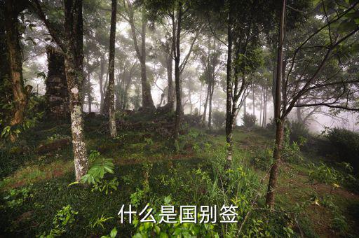 什么是國別報(bào)送條件，國別是什么意思