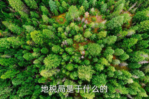 地稅主要負責什么工作總結，地稅局一般做什么工作啊