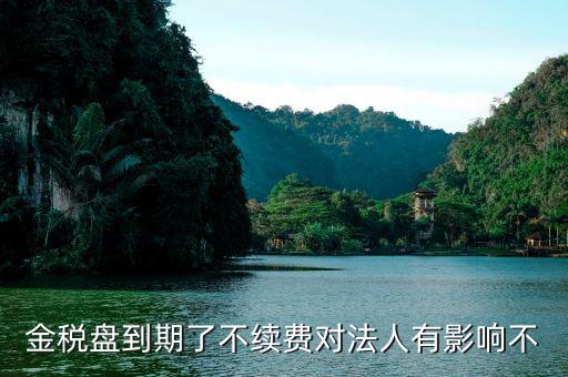 稅盤未續(xù)費有什么影響，金稅盤年費到期未續(xù)交會影響征信嗎